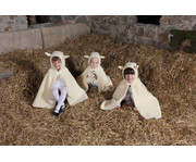 Betzold Kinder Kostüm Schaf 2