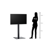 Hitachi 65 Zoll Fernseher SMART TV 4K UHD Profi Schulgerät 3