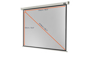 Motorleinwand Professional 4