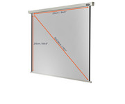 Motorleinwand Professional 7