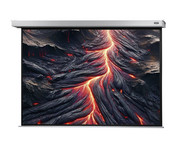Motorleinwand Professional Plus 5