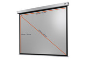 Motorleinwand Professional Plus 6