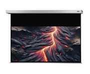 Motorleinwand Professional Plus 2