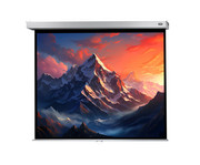 Leinwand Professional Plus 5