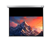 Leinwand Professional Plus 2