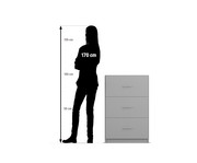 Flexeo® Schrank 3 Hängeregister Breite 64 1 cm 3