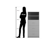 Flexeo® Schrank 3 Hängeregister 2 Fächer Breite 64 1 cm 2