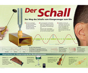 Poster Der Schall 1