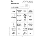 Themenheft: Wald 1 2 Klasse 2