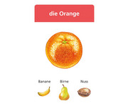 Schubicards Artikel der die das 2