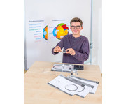 Betzold Das Auge magnetisches Tafelmodell 2