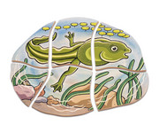 beleduc Lagenpuzzle Frosch 2