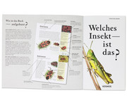 KOSMOS Welches Insekt ist das? 2