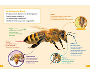 WAS IST WAS Erstes Lesen Bienen 2
