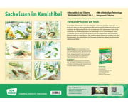 Kamishibai Bildkarten Tiere und Pflanzen am Teich 4