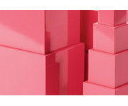 Nienhuis Rosa Turm 2