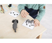Betzold Tiere zuordnen 3