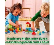 LEGO® DUPLO® Deluxe Steinebox 3