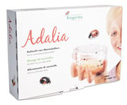 Adalia Marienkäferzucht Set 4