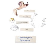 Betzold Lebenszyklus Schnecke 5