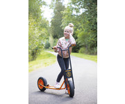 TopTrike Roller Maxi 7