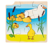 Wachstums Puzzle Ente 1