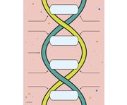 DNA Bausatz 2