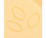 Betzold Becher 5