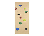 Kletterwand für Sprossenwand inkl Klettergriff Set Leicht 1