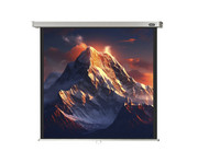 Leinwand Professional 1