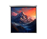 Leinwand Professional Plus 1