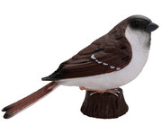Betzold Vogel Säugetier Set 9 teilig 6