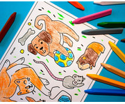 Playmais Eduline Classic Activity Book 4