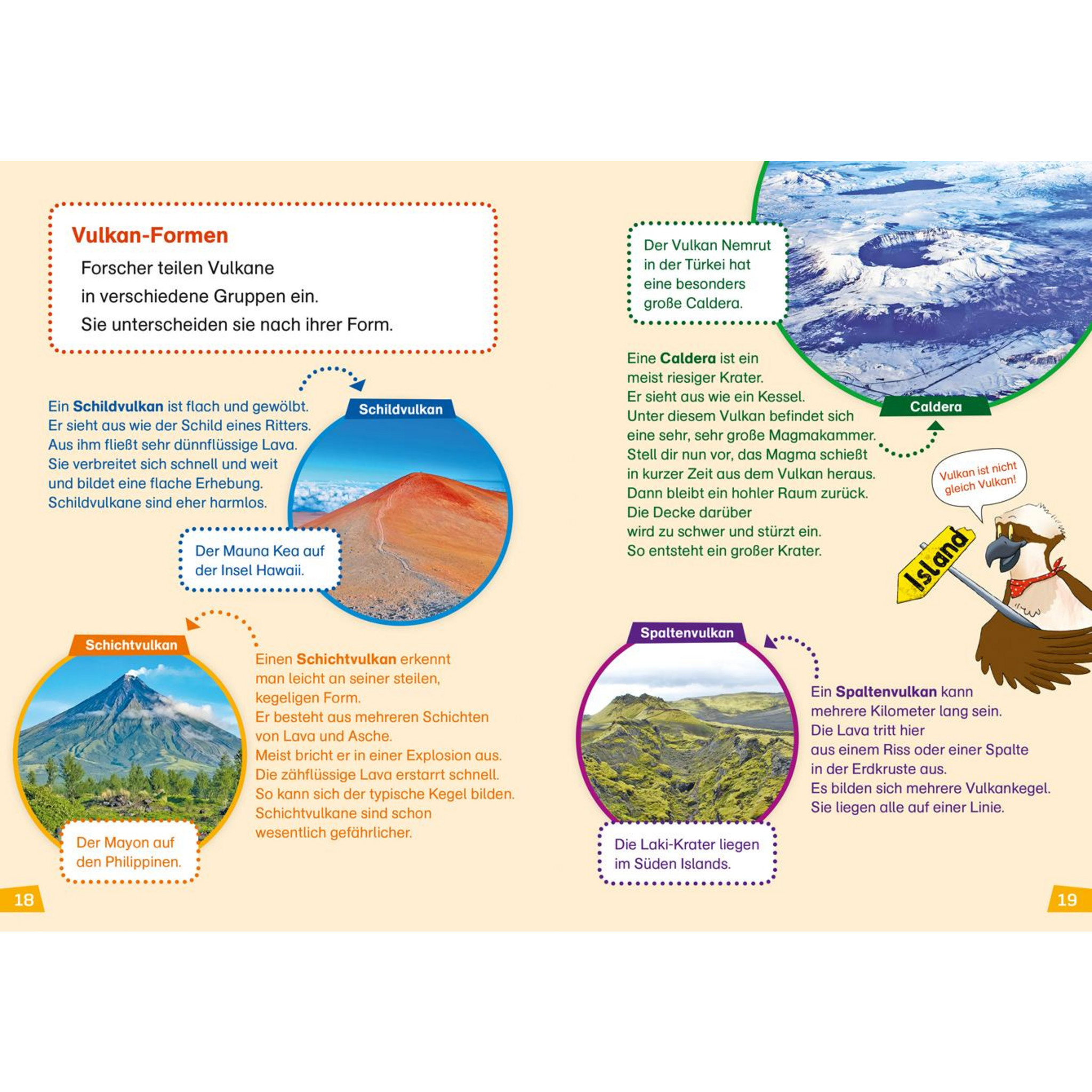WAS IST WAS Erstes Lesen Bücher Regenwald & Wetter (Gebraucht) In