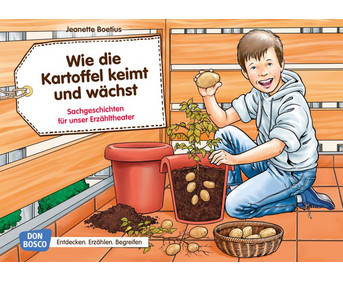Kamishibai Bildkarten Wie die Kartoffel keimt und wächst