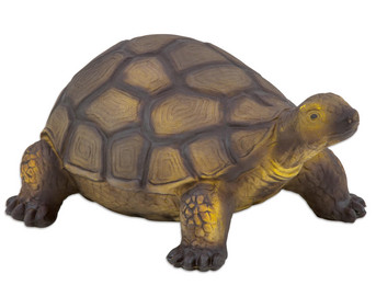 Betzold Schildkröte Naturkautschuk