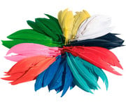 folia Bunte Federmischung 4