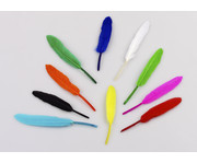 folia Bunte Federmischung 3