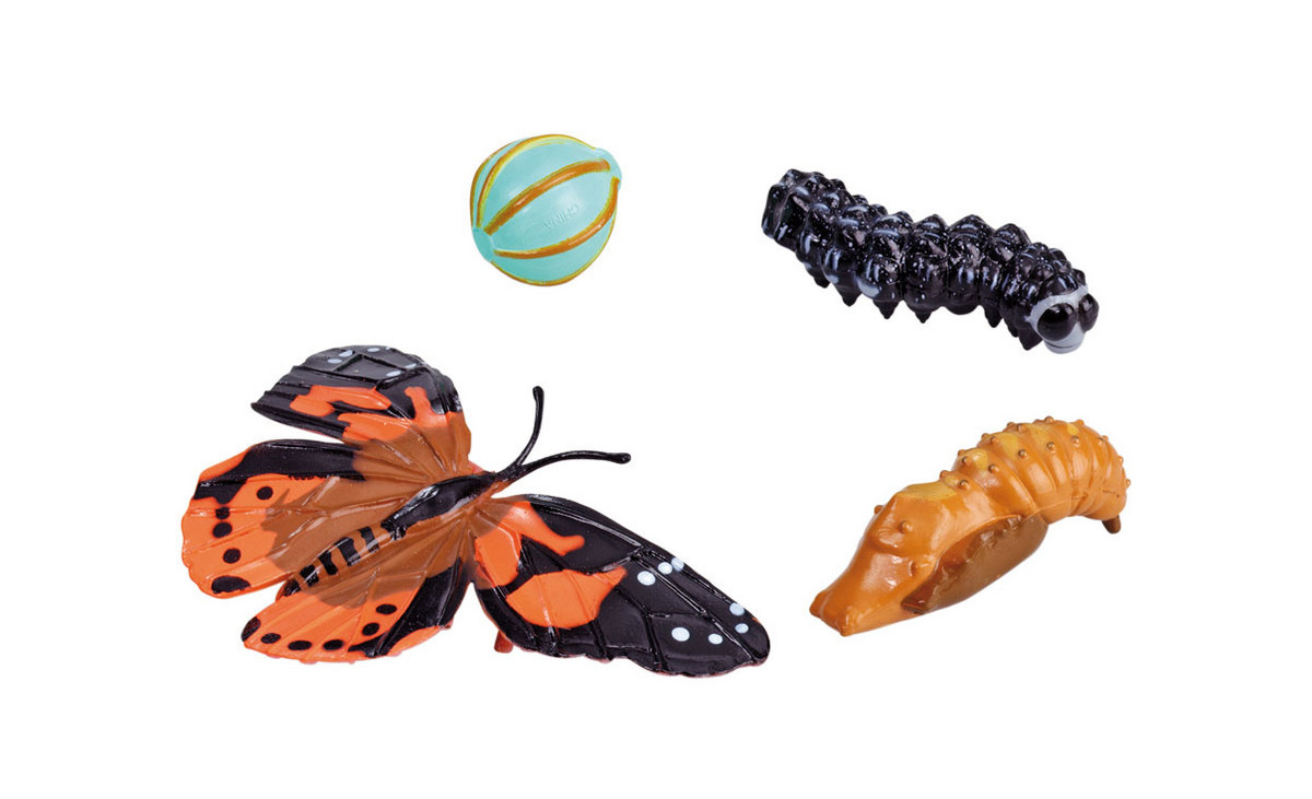 Tier-Lebenszyklus-Spielzeug-Set – Mit Frosch, Schnecke, Libelle & Regenwurm – Lernspielzeug