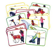 16 Yoga-Karten Tiere