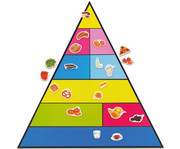 Betzold Lebensmittelpyramide und 50 Bilder magnetisches Set 1