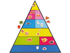 Betzold Lebensmittelpyramide und 50 Bilder magnetisches Set