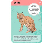 Expedition Natur – 50 heimische Wald & Wildtiere 5