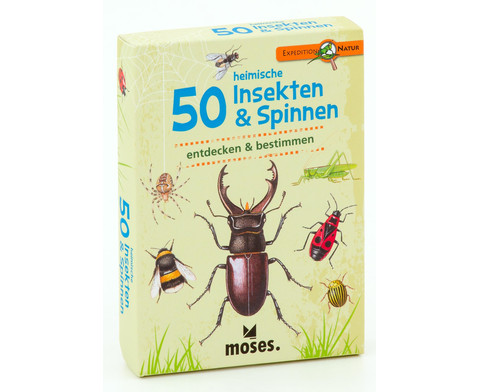 Expedition Natur 50 heimische Insekten  Spinnen