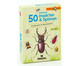 Expedition Natur 50 heimische Insekten  Spinnen-1