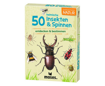Expedition Natur – 50 heimische Insekten & Spinnen
