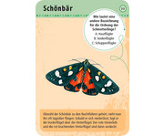 Expedition Natur – 50 heimische Schmetterlinge 3