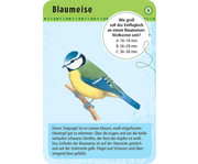 Expedition Natur – 50 heimische Vögel 3