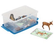 Betzold Tiere zuordnen 2