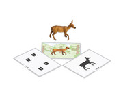 Betzold Tiere zuordnen 5